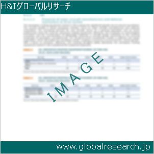グローバルリサーチ調査レポートのイメージ